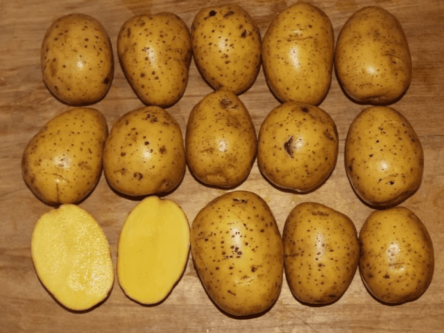 Лучшие сорта картофеля для посадки в Беларуси