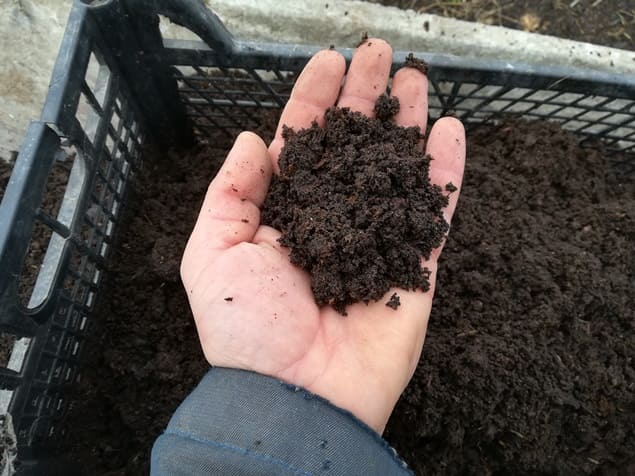 Как улучшить глинистую почву